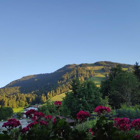 Appartement Unterbergblick ケセン エクステリア 写真