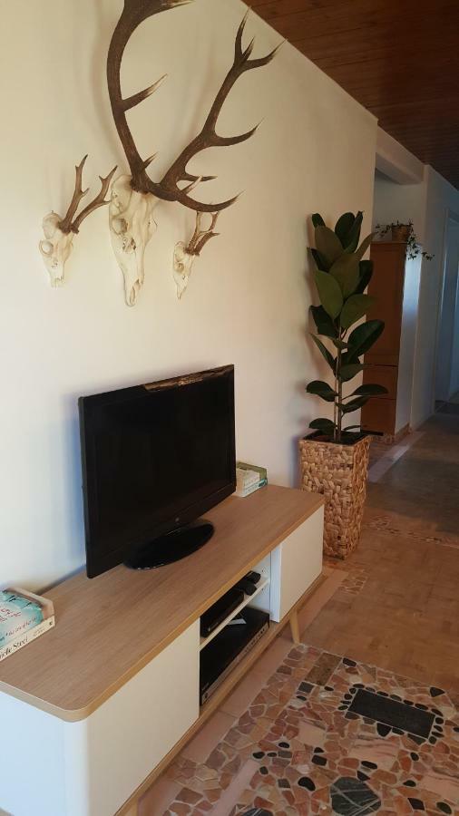Appartement Unterbergblick ケセン エクステリア 写真